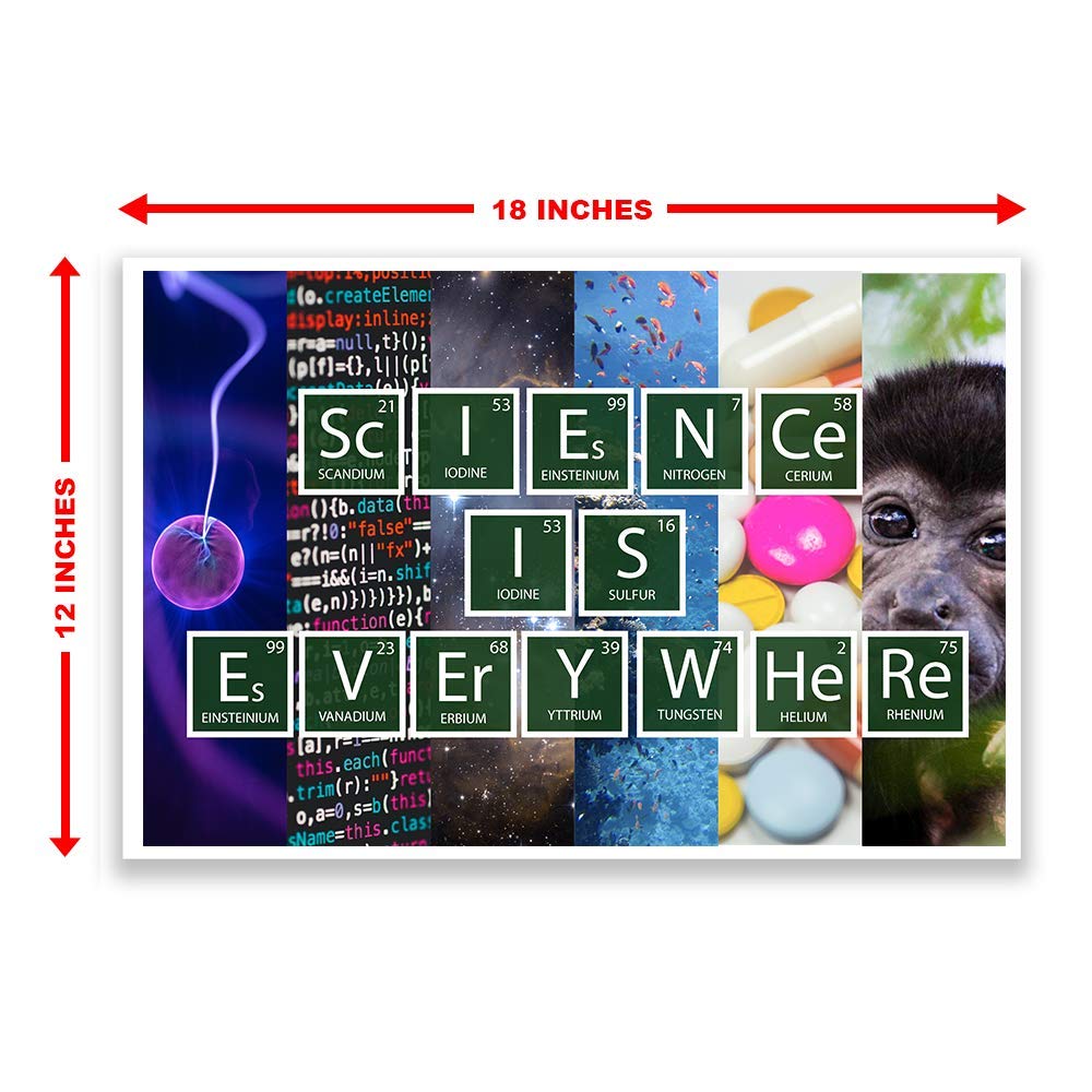 pix Grit Poster For Classroom classroom poster science is everywhere