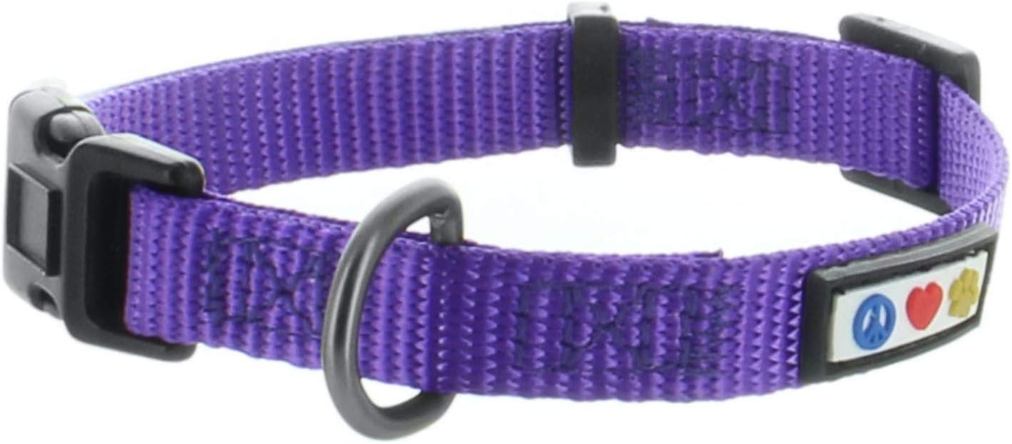 PAWTITAS Dog Collar For Extra Small Dogs Training Puppy Collar With Solid - XS - Purple