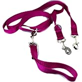 2 Hounds Freedom Multipurpose 1 Inch Euro Pet Leash 4 to 8 Foot or Double Dogs with Detachable Handle Raspberry