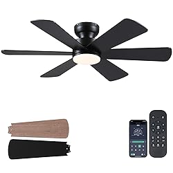 46 inch Ceiling Fans with Lights, Black Ceiling Fan