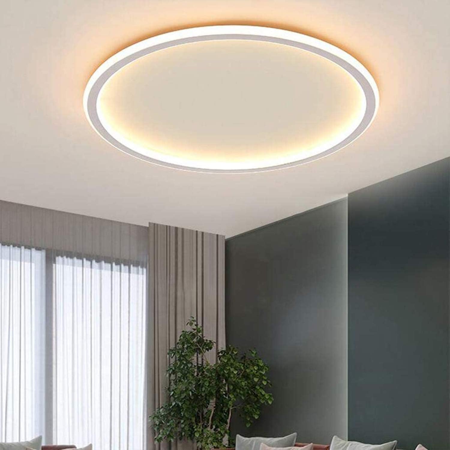 LAIDEPA Luz De Techo LED Sala De Estar Lámpara De Techo iluminación de