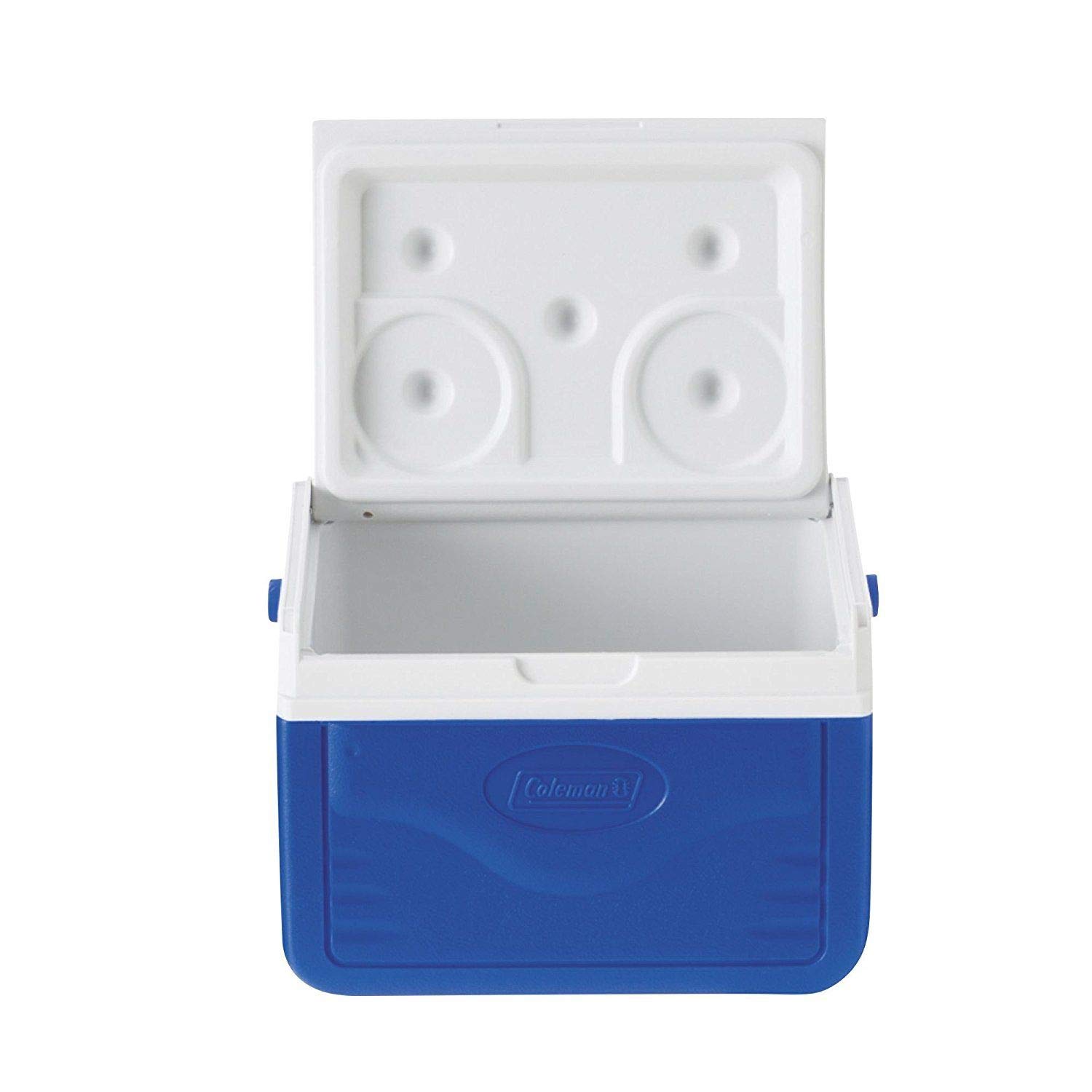 ice box with reversible lid