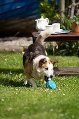 Petface Macaron Latex Dog Toy Pack of 1 view 2