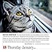 365 Cats Page-A-Day Calendar 2018
