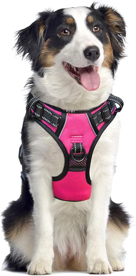 metal clasp dog harness