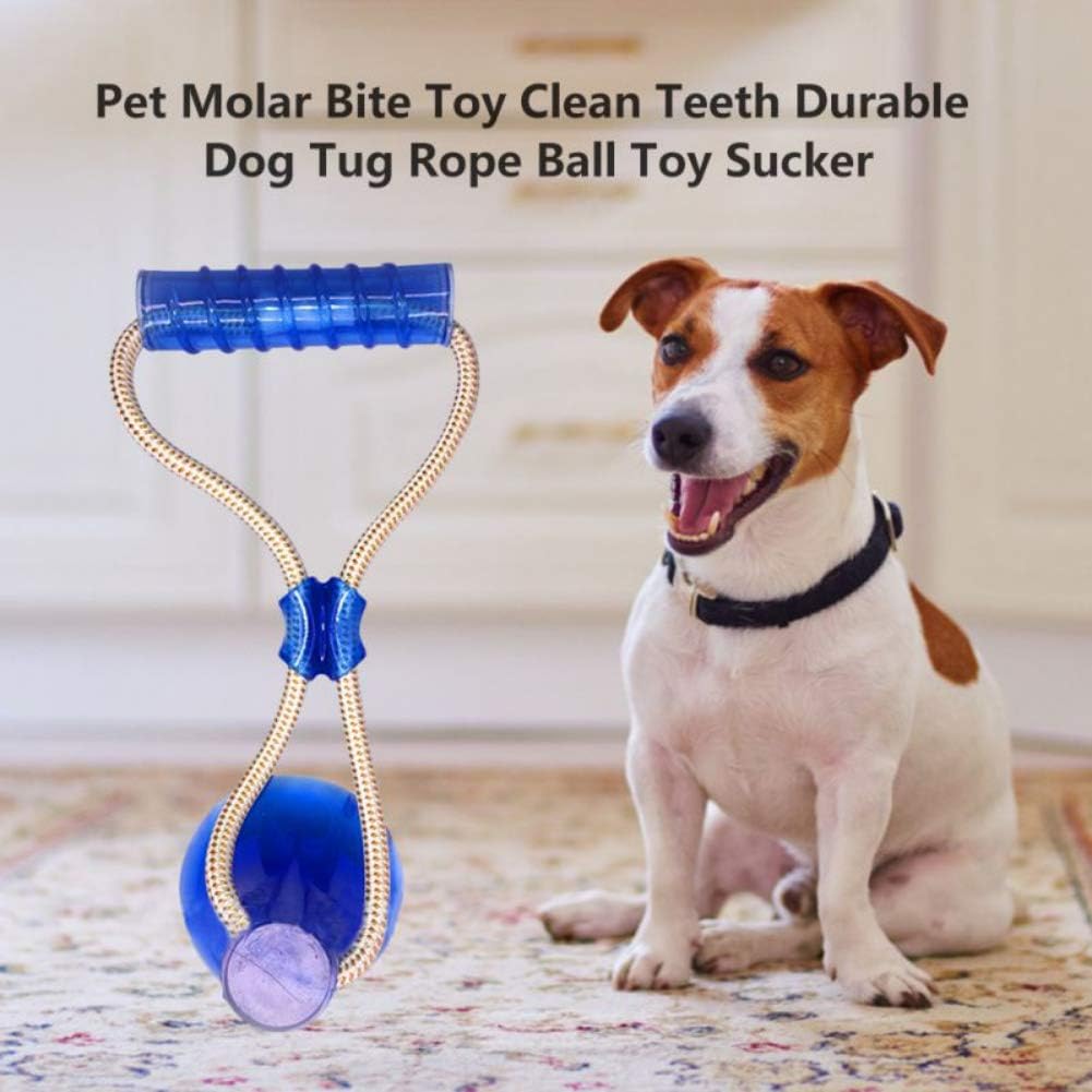 dog chew toy stuck to floor