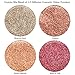 GLITTIES - (12PK) Iridescent Mixed Cosmetic Grade Glitter Kit - Ultra Fine Loose Glitter for Body Shimmer, Face, Makeup, Lips, Body Tattoos, & Nail Art - (10 Gram Jars)