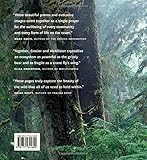 Image de The Wild in You: Voices from the Forest and the Sea