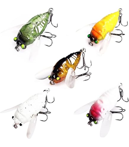 True Cicada Fly Fishing Fly by Colorado Fly Supply - Realistic Cicada Fishing Lure - 3 Pack