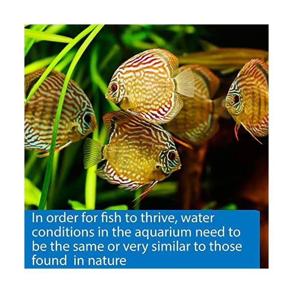 API 5-IN-1 TEST STRIPS Freshwater and Saltwater Aquarium Test Strips 4-Count Box