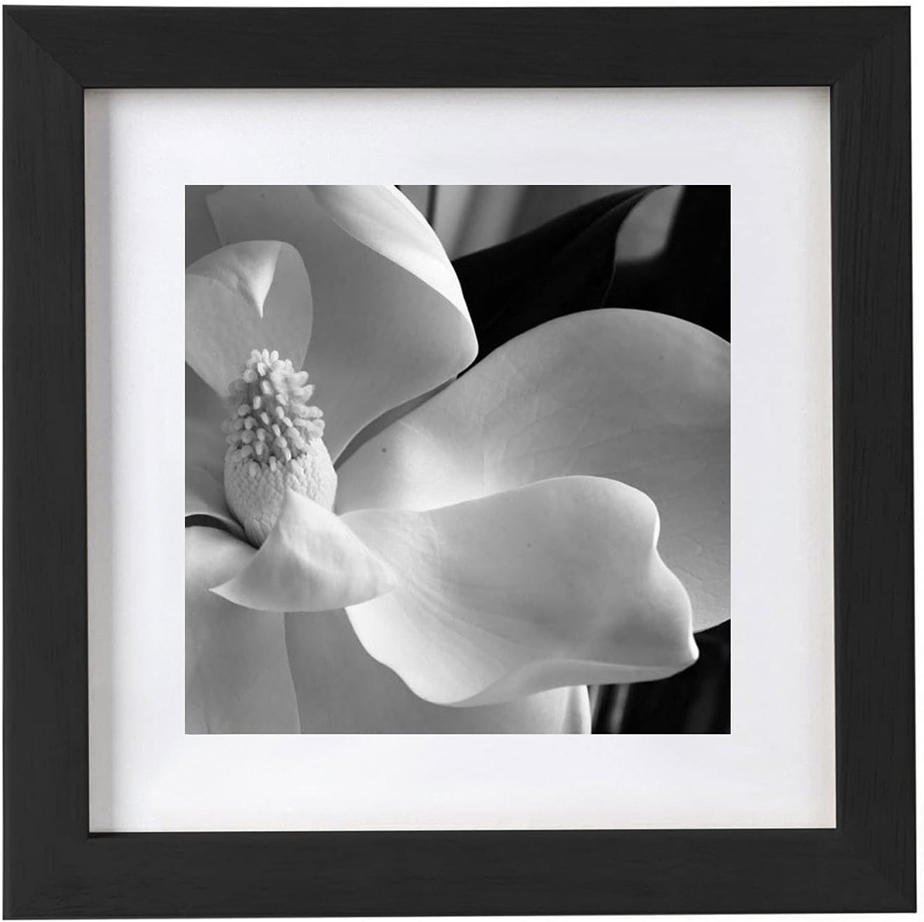 BESLY 10x10 Picture Frames Black Matted 8x8 Wooden Picture Frame Poster Frame Document Diploma and Certificate Frame for Wall Hanging Home Decoration-Black