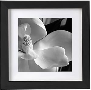 BESLY 10x10 Picture Frames Black Matted 8x8 Wooden Picture Frame Poster Frame Document Diploma and Certificate Frame for Wall Hanging Home Decoration-Black