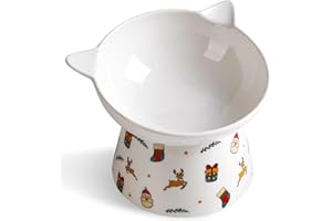 Wellbro Ceramic Raised Cat Bowl，Tilted Raised Bowl Anti Vomit Bowls for Indoor Whisker Friendly Pet Feeder for Cats Puppies, Microwave and Dishwasher Safe