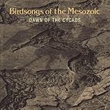 DAWN OF THE CYCADS                                 image