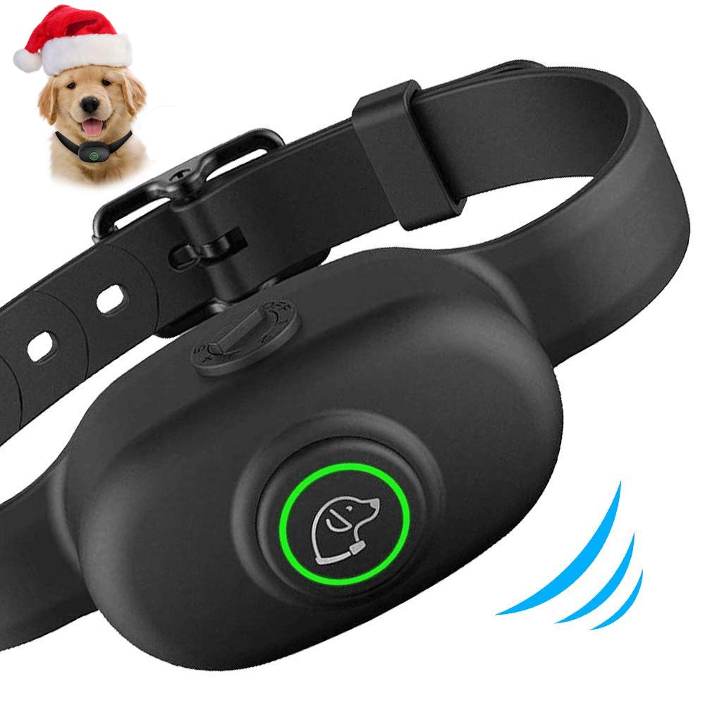 sky dog training collar