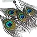 Ricdecor Indian Dream Catcher Wind Chimes Feather Pendant Wall Hanging Home Decoration (Peacock Feathers)