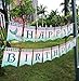 Mermaid Balloons 38