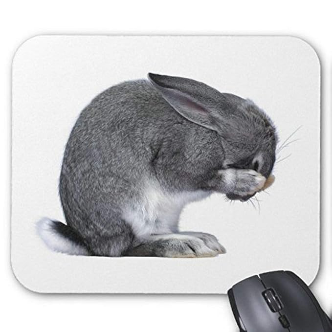 Gaming Mouse pad mousemat Lovely Rabbit Mousepad Series
