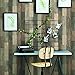 RoomMates RMK10841WP Dark Weathered Plank Peel and Stick Wallpaper, Brown, 20.5