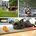 ACEONE Dog Squeaky Ball, Durable Pet Squeak Chew Bouncy Rubber Toy Balls for Small Large Dogs Indestructible Exercise Training Playing (2 Balls)
