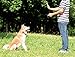 PESTON Dog Shock Collar, Dog Training Collar with Remote - Rechargeable and Waterproof, All Size Dogs (10Lbs - 100Lbs)