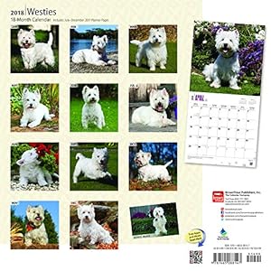 West Highland White Terriers 2018 12 x 12 Inch Monthly Square Wall Calendar with Foil Stamped Cover, Animals Dog Breeds Terrier Puppies (Multilingual