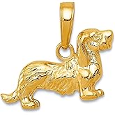 JewelryWeb 14k Yellow Gold Textured Polished Long-Haired Dachshund Animal Pet Dog Pendant Necklace 13.8x17.3mm Pendant for Women