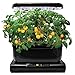 AeroGarden Golden Harvest Cherry Tomato Seed Pod Kit