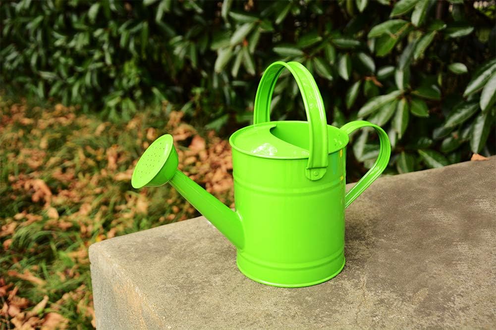 yourjoy Galvanized Metal Wating Can 67 OZ (0.5 Gallon), Watering Pot with Handle and Removable Spout for Outdoor and Indoor Plant Watering : Garden & Outdoor