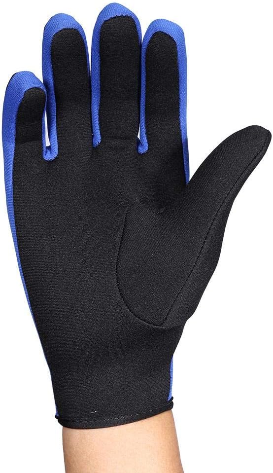 1Pair Water Sport Gloves 1.5mm Thick Neoprene Diving Gloves Scuba Diving Gloves Snorkeling Kayaking Surfing Watersport Gloves for Winter Swimming, Rafting, Canoeing : Sports & Outdoors