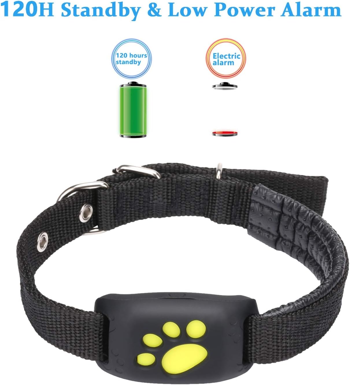 Z8 dog tracker app Clearance