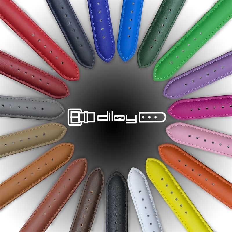 diloy Leather Strap for Classic Watch - Smooth Cowhide Leather with Stitching Padded Stainless Steel Clasp - Sizes 8mm, 10mm, 12mm, 14mm, 16mm, 18mm, 19mm, 20mm, 22mm, 24mm 302