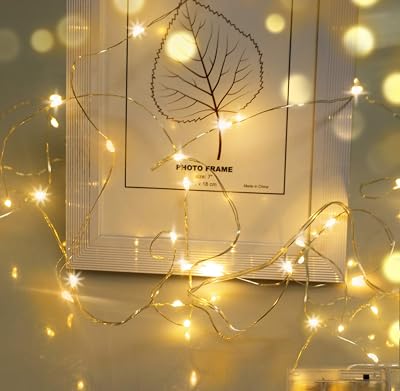 cshare Battery Fairy Lights 20 LEDs 2m Copper Wire IP65 Waterproof Warm White