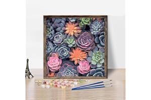 XYLOGIST Paint By Numbers Kit for Adults Beginner - Succulent Paint By Numbers for Adults, Succulents Plant Paint by Numbers Kits, DIY HD Colorful Canvas Acrylic Painting, for Home Wall Decor 16X16 Inch