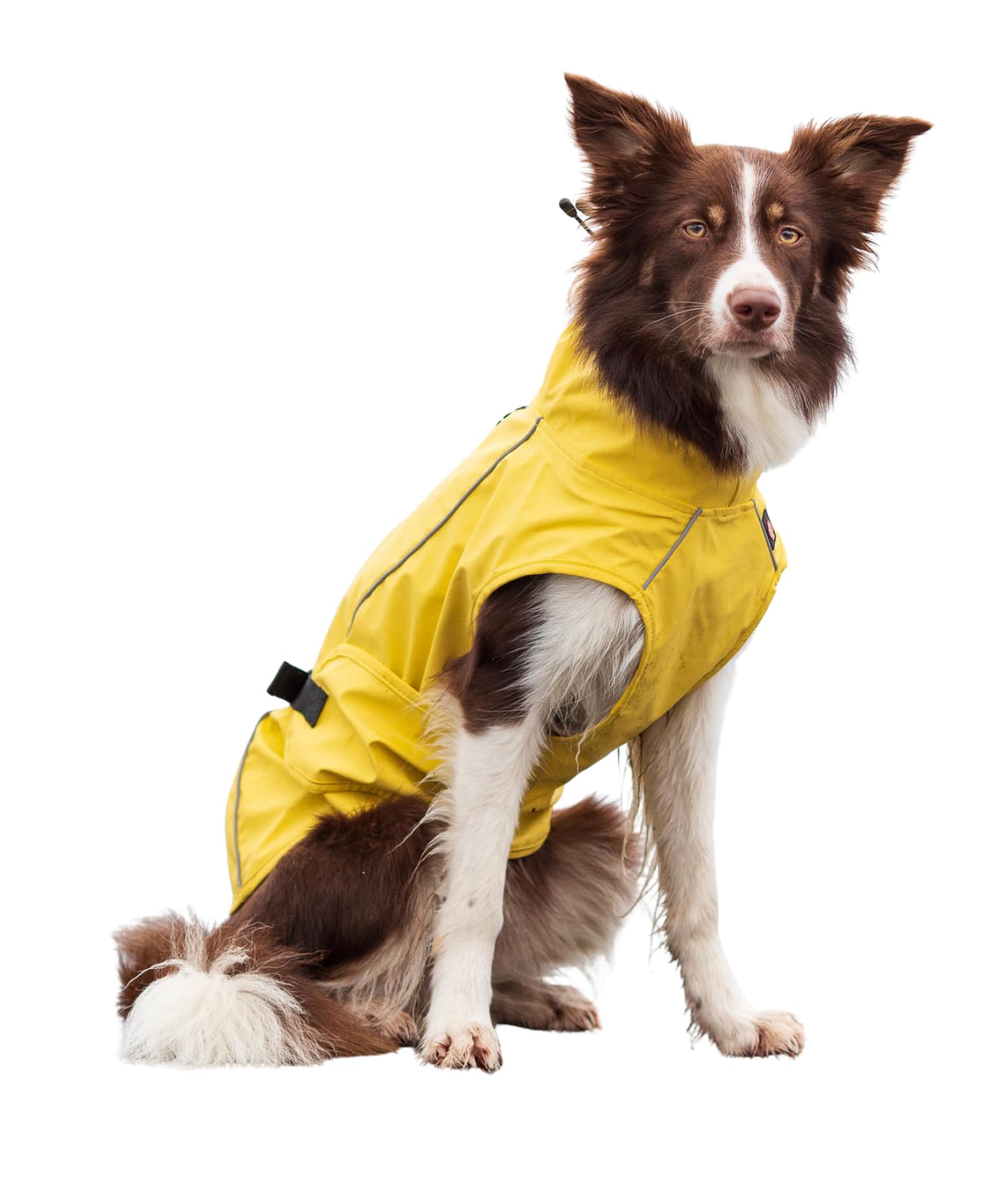 TRIXIE raincoat Vimy for dogs yellow M – chest circumference: 18.9-28.7 in/back length 19.7 in – dog rain jacket with reflective elements, comfortable & adjustable – 67975