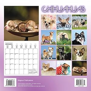 Chihuahua Calendar - 2017 Wall Calendars - Calendar 2016 - Dog Breed Calendars - Monthly Wall Calendar by Magnum