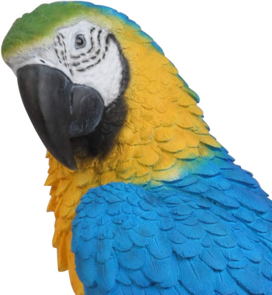 Vivid Arts - Real Life Exotic Birds Yellow Macaw Perched Home or Garden Decoration (XRL-MCW7-B) - Image 3