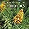 Gardening With Conifers: Bloom, Adrian: 9780711217065: Amazon.com: Books