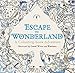 Escape to Wonderland: A Colouring Book Adventure