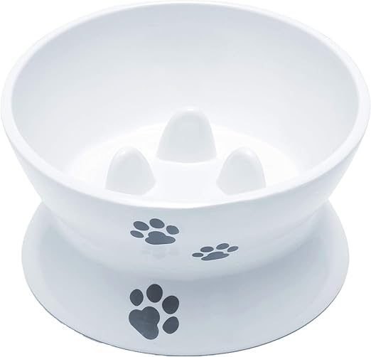 no bowl cat feeder amazon