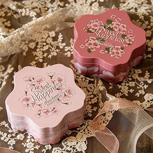 Set of 2 pcs vintage flower mini tin iron box,tea tin