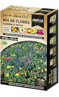 3 variedades | Surtido de semillas de flores | Set para flores de ...