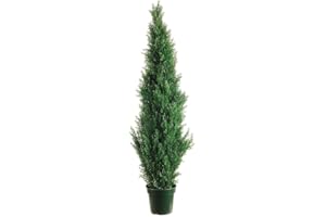 One 5 Foot Outdoor Artificial Cedar Topiary Tree Potted UV Rated Plant by Silk Tree Warehouse Company Inc (5 Foot)