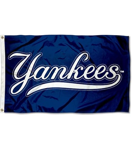 150 Vlag Van De Staat New York Illustraties Stockfoto's, afbeeldingen