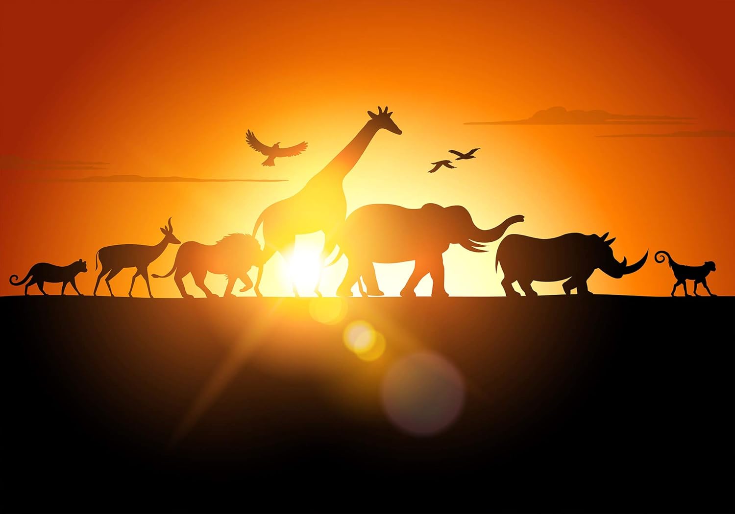 В мире животных телепередача заставка. Заставка передачи в мире животных. Передача в мире животных с дроздовым. В мире животных телепередача 1968. В мире животных передача ссср.