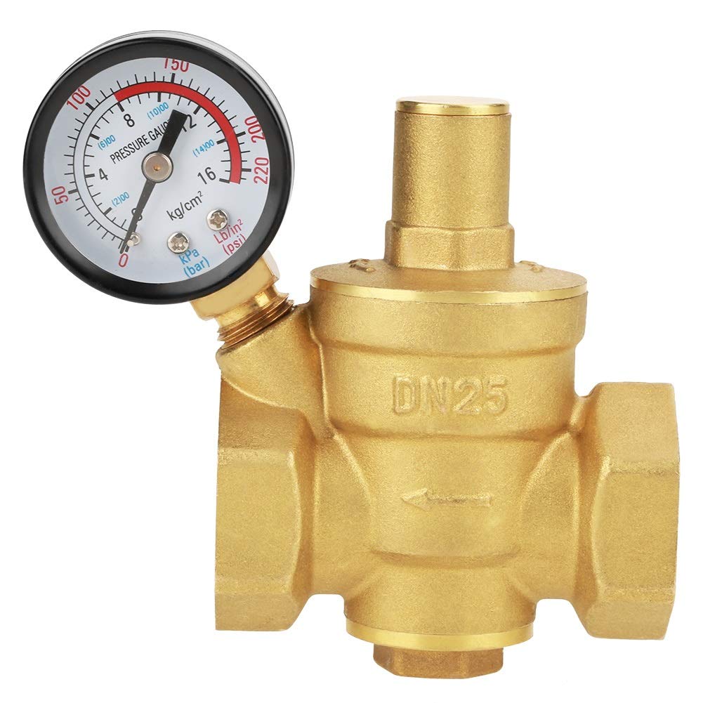 Delaman DN25 Brass Water Pressure Regulator Valve with Gauge, Adjustable Water Pressure Reducer, Reducing Valve