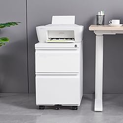 SISESOL 2 Drawer File Cabinet with Lock,Rolling