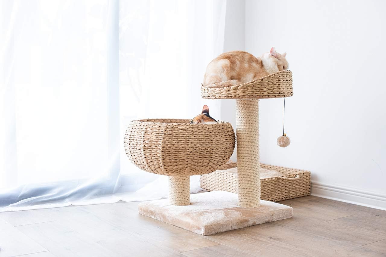 PetPals Cozy Cat Tree : Pet Window Perches : Pet Supplies