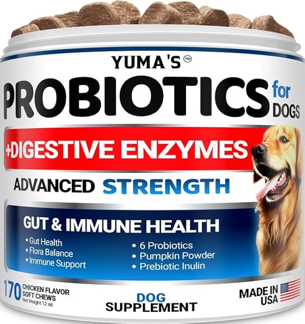 YUMA'S Natural Probiotics for Dogs Crafted in USA with Pumpkin and Enzymes Soft Chews for