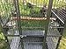 Mcage Large Wrought Iron Bird Parrot Cage Double Ladders Open/Close Play Top, Include Seed Guard and Play Top (Black Vein)thumb 2
